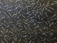 Josefina Guilisasti, Sin título, óleo sobre tela, 170 x 175 cm., 1992